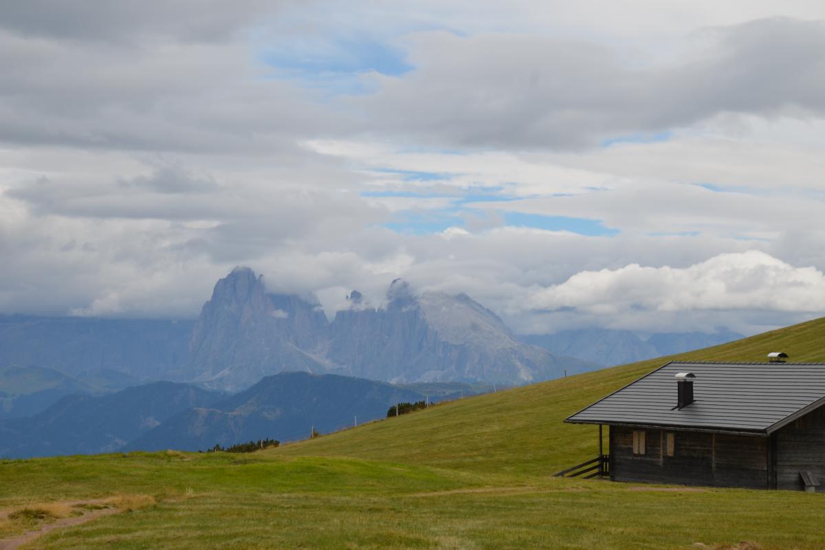 Platzer Alm 20.08.2022